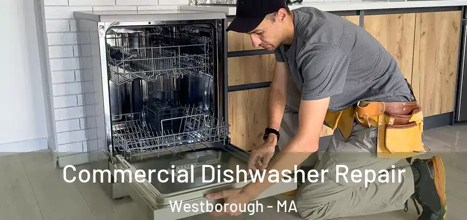  Commercial Dishwasher Repair Westborough - MA