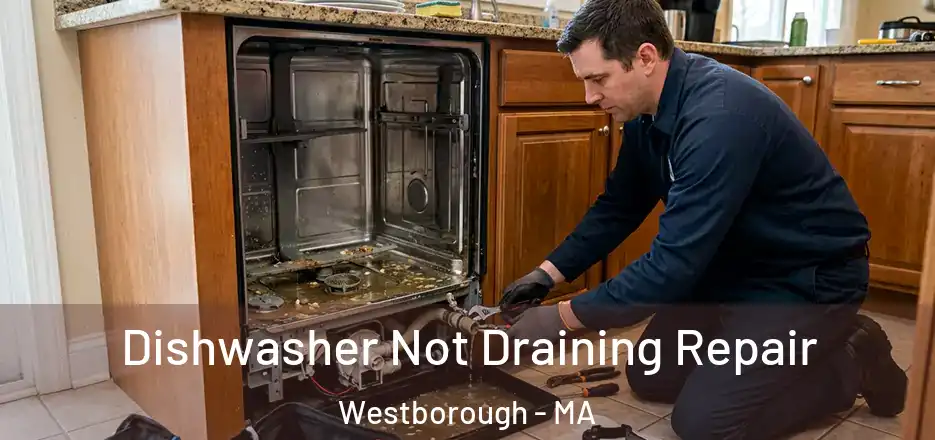  Dishwasher Not Draining Repair Westborough - MA
