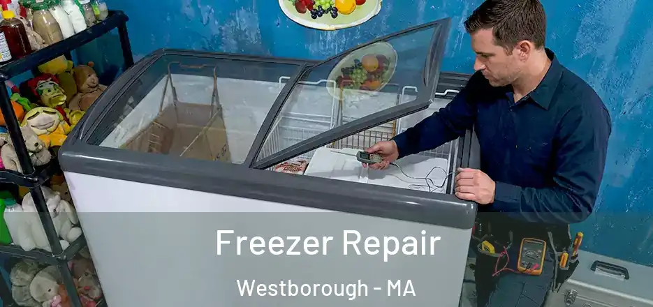 Freezer Repair Westborough - MA