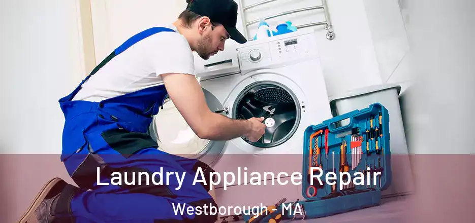 Laundry Appliance Repair Westborough - MA