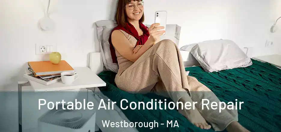 Portable Air Conditioner Repair Westborough - MA