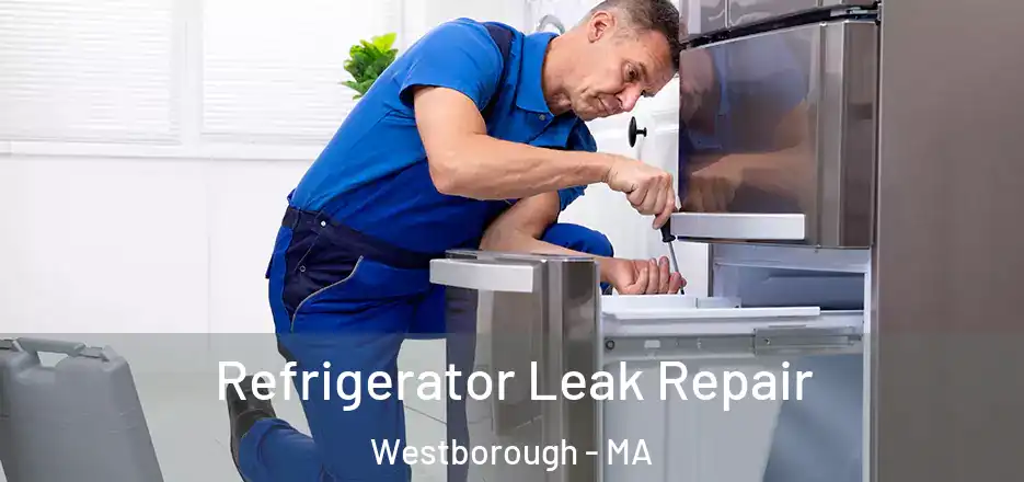 Refrigerator Leak Repair Westborough - MA