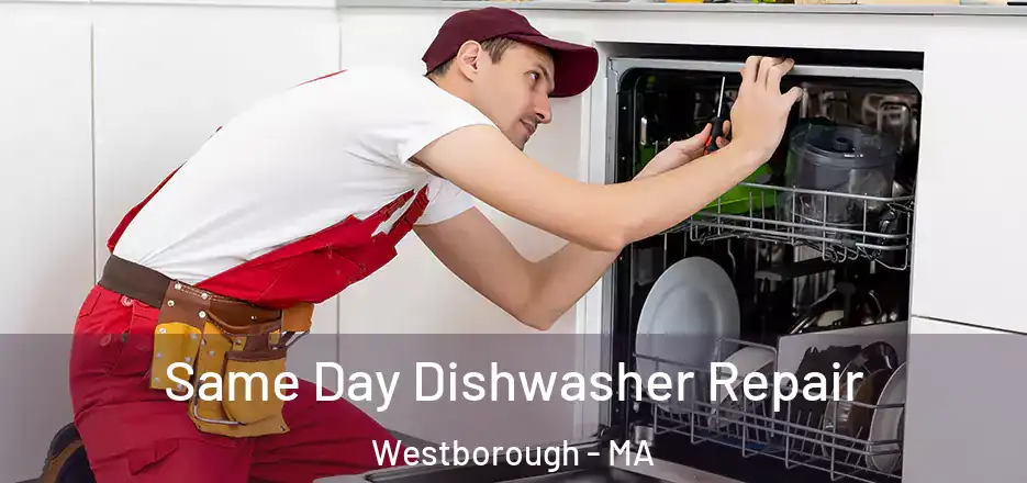 Same Day Dishwasher Repair Westborough - MA