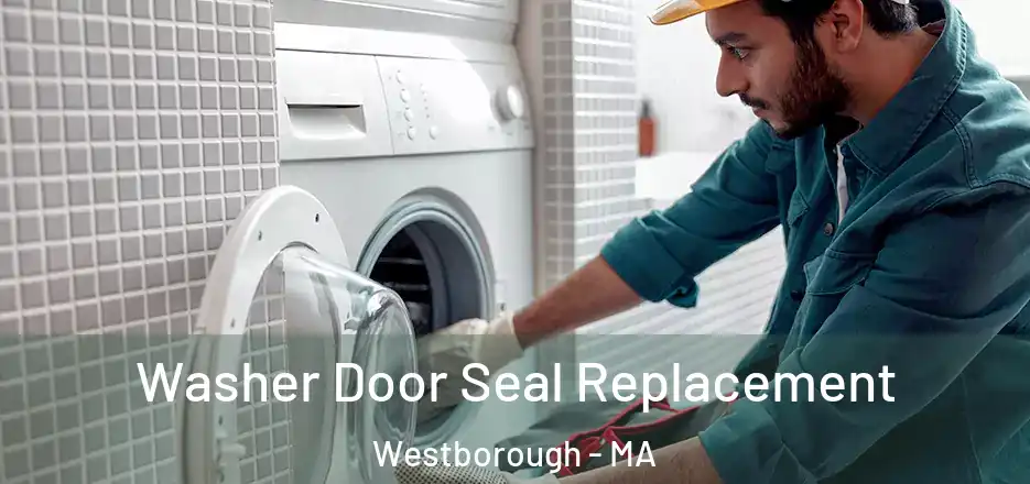  Washer Door Seal Replacement Westborough - MA